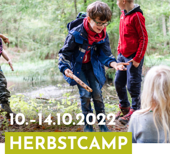 Lernraum Herbstcamp vom 10.–14.10.2022