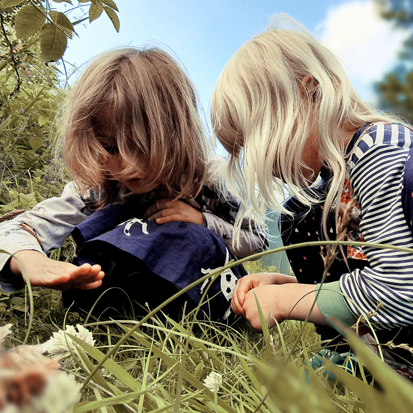 Kinder beim Entdecken von Insekten im Gras